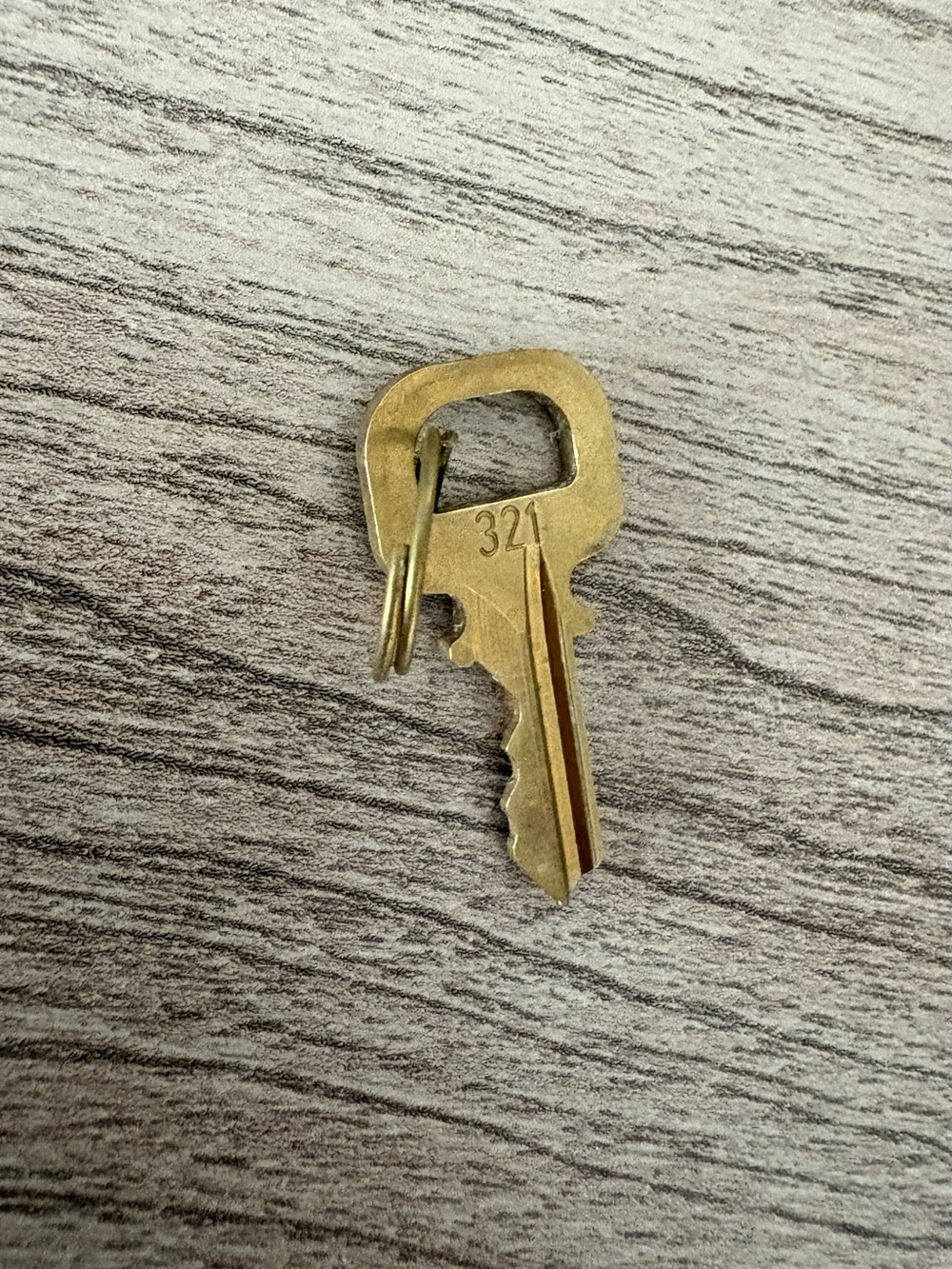 Louis Vuitton Brass Key #321 replacement